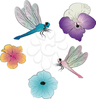 Decorative dragonflies and petunia flowers illustration on white.