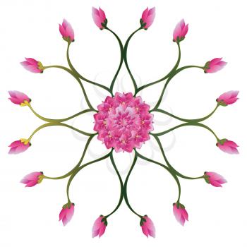 Water lily, purple lotus flower illustration on white background.