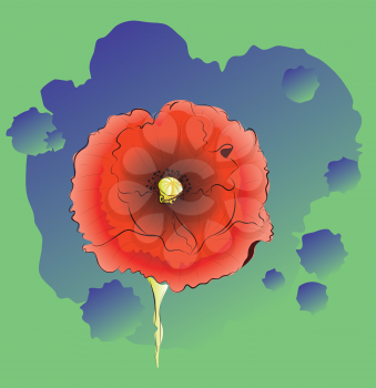 Big red poppy flower illustration, decorative floral background.