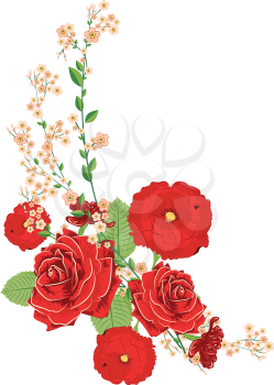 Romantic decorative ornament with red roses and poppies, floral illustration.