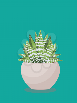 Popular houseplant succulent growing in a pot illustration.