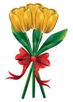 Beautiful bouquet of tulip flowers with red bow on white background.