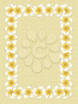 Floral frame made from white plumeria, frangipani flowers on sand background.