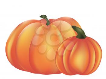 Big ripe orange pumpkin detailed illustration on white background.