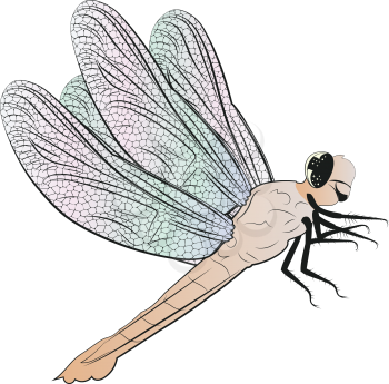 Digital illustration of cute dragonfly, cartoon insect design.