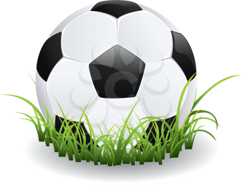 Black and white soccer ball with green grass.