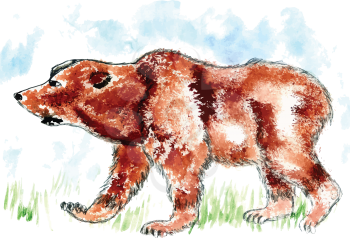 Watercolor painting of brown bear, hand drawn illustration.