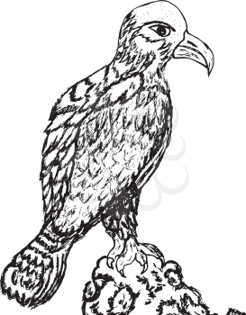 Grunge sketch of an eagle, hand drawn illustration.