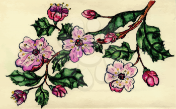 Grunge sketch of blooming sakura branch on paper background.