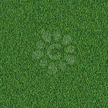 Background of fresh green grass texture. Not seamless pattern.