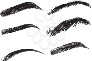 Collection of black detailed eyebrows on white background.