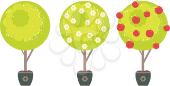 Cartoon stylized green tree with white flowers in spring and red apples in summer time.