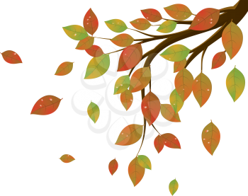 Tree branch with colorful falling leaves, autumn season.