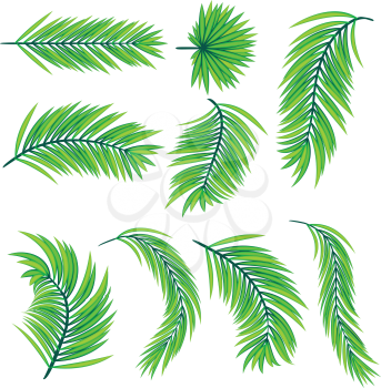 Set of green palm tree leaves in different styles.