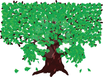 Illustration of big oak tree with fresh green leaves.