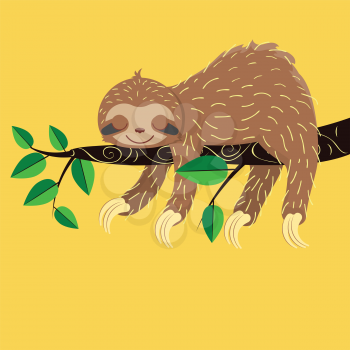 Funny and cute cartoon sloth bear graphic design.