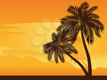 Tropical landscape with palm trees at sunset.