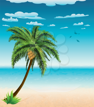 Big palm tree on summer beach background.