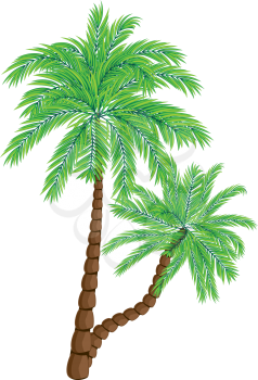 Two colorful palm trees illustration on white background.