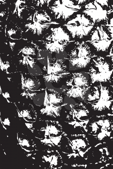 Detailed grunge illustration of pineapple in black and white.
