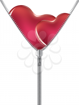 Zipper opening to reveal a soft glossy red heart.