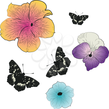 Decorative black butterfly with petunia flower illustration.
