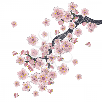 Spring cherry blossom tree branch, decorative Sakura flowers.