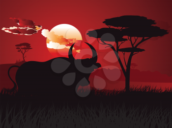 Illustration of landscape and bull silhouette at sunset time.