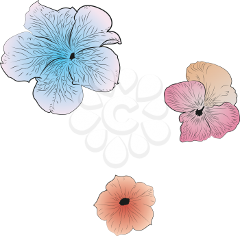 Decorative summer flower petunia illustration on white background.