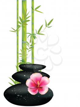 Zen stones heap with bamboo leaves and flower on white background.