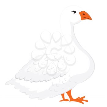 Farm bird, domestic white goose, cartoon poultry illustration.