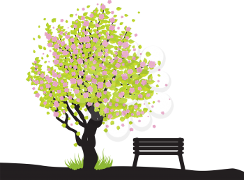 Illustration of cherry with pink blossom, sakura tree and bench.
