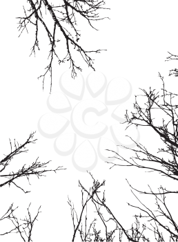 Grunge black silhouettes of naked tree branches frame on white background.