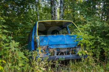 Abandoned big broken car on blue color in the woods.