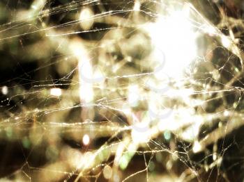 Cobweb with glows and circular bokeh effect, night shot.