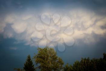 Unusual Mammatus clouds appears after the storm.