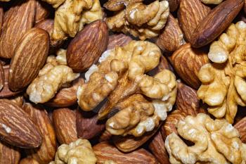 Peeled almond seeds and walnuts, close up background.