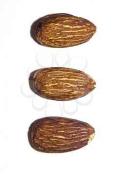 Close up of almond seed on white background, macro photo.