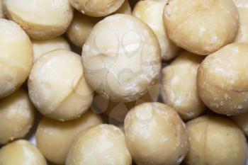 Peeled fresh macadamia nuts close up background.