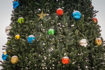 Fir tree decorated with colorful balls for Christmas time.