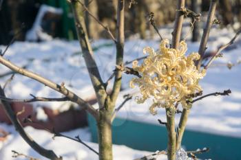 Ornamental golden snowflake glittering on fresh white snow.