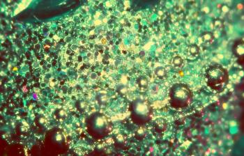 Extremely close up photo of glittering surface, abstract background.