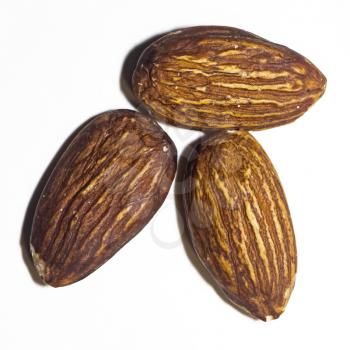 Close up of almond seed on white background, macro photo.