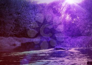 Abstract purple forest and a small river, a fantasy landscape. 