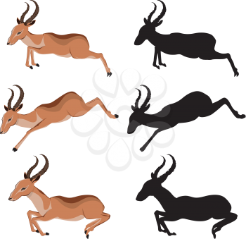 Illustration of cute antelope, cartoon animal on white background.