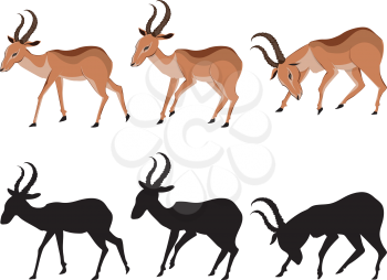 Illustration of cute antelope, cartoon animal on white background.