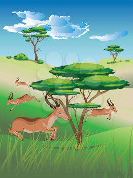 Cartoon sunny landscape with herd of antelopes.