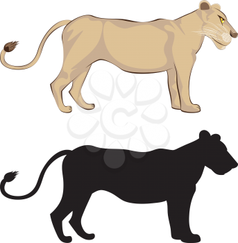 Stylized lioness standing with silhouette, cartoon animals illustration.