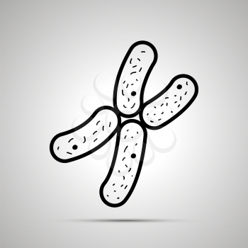 Chromosome simple black icon with shadow on gray