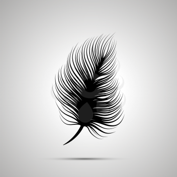 Feather silhouette, simple black icon with shadow